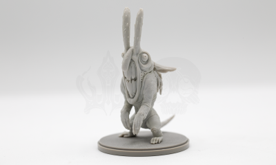 Lagomorph Endemic Life
